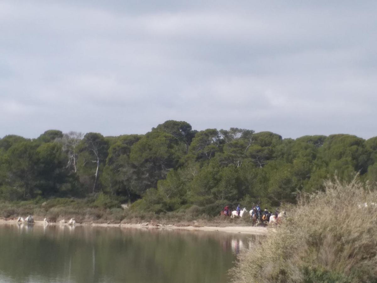 Cabanes Des Aresquiers Frontignan Kültér fotó