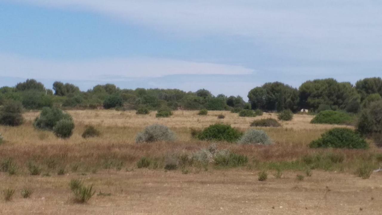 Cabanes Des Aresquiers Frontignan Kültér fotó